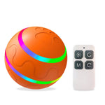 Wicked Ball Toy