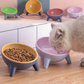 Pet Food & Water Bowl