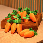 Carrot Plush Toy